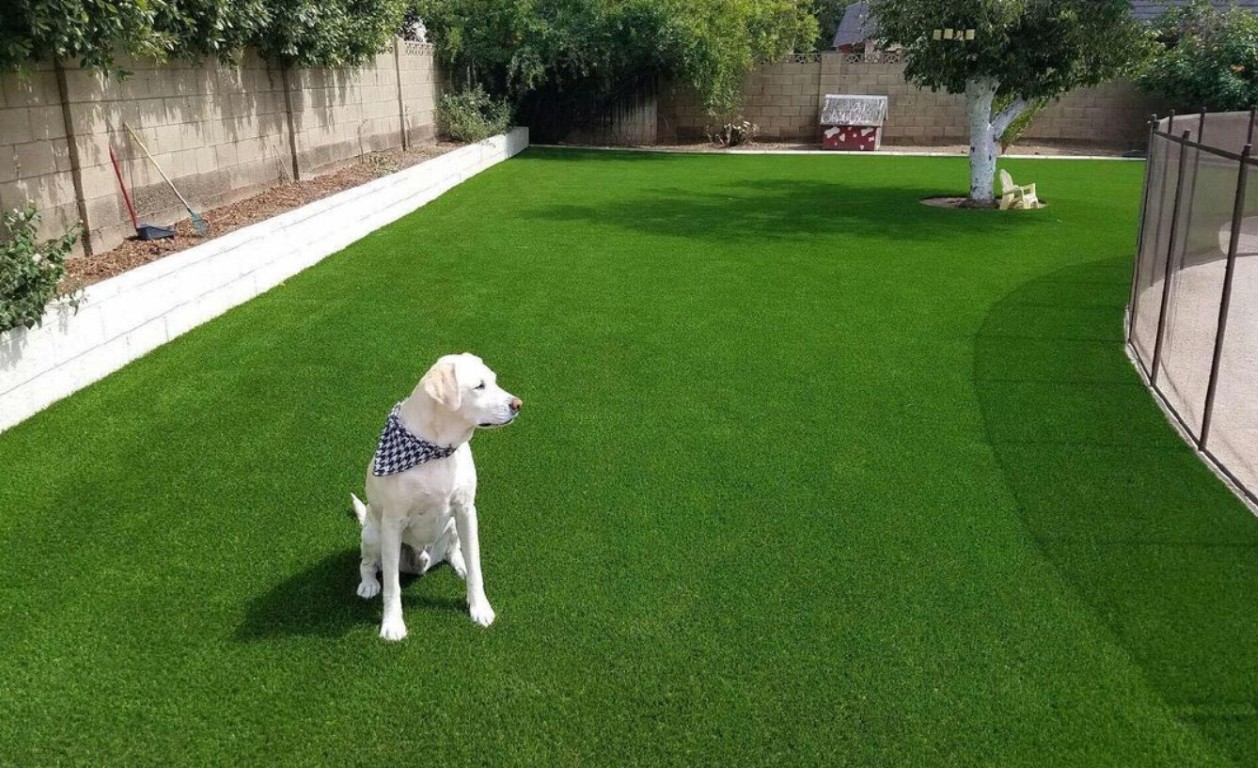 Pet-friendly artificial grass installation with dog in Richland, WA backyard